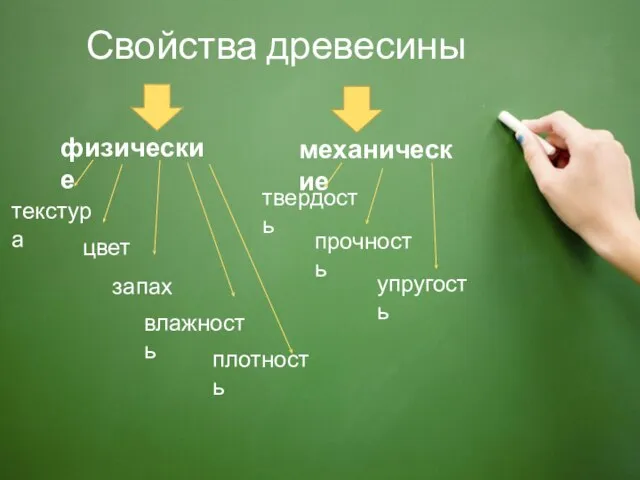 Свойства древесины физические механические цвет запах плотность влажность твердость прочность упругость текстура