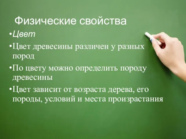 Физические свойства Цвет Цвет древесины различен у разных пород По цвету можно