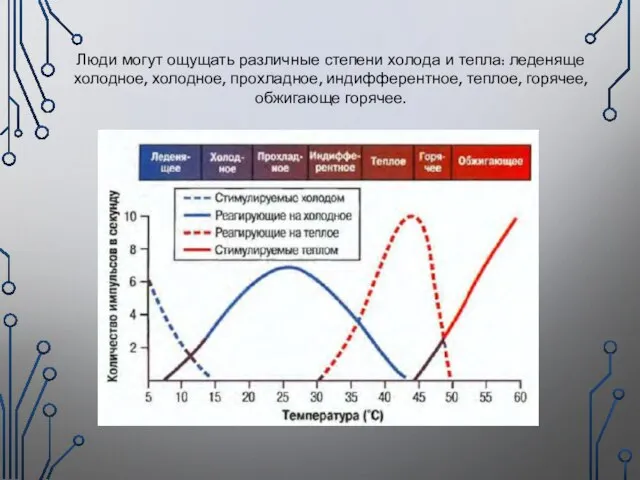 Люди могут ощущать различные степени холода и тепла: леденяще холодное, холодное, прохладное,