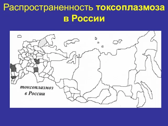 Распространенность токсоплазмоза в России