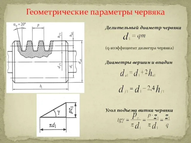 Геометрические параметры червяка Делительный диаметр червяка (q-коэффициент диаметра червяка) Диаметры вершин и