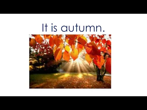 It is autumn.