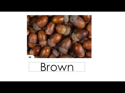 Brown