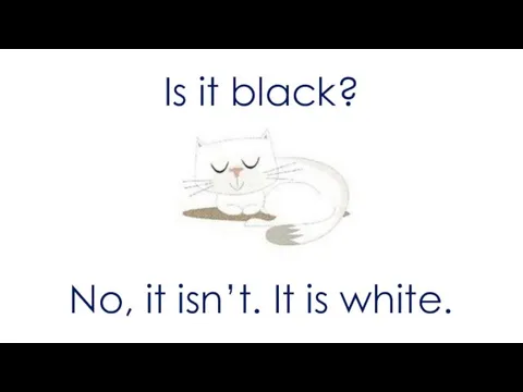 Is it black? No, it isn’t. It is white.