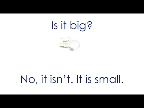 Is it big? No, it isn’t. It is small.