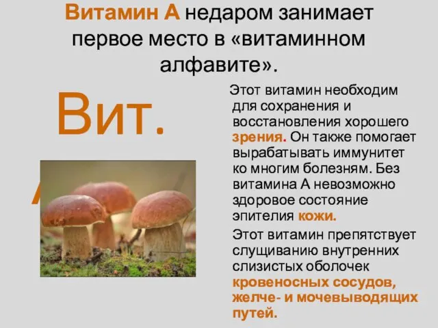 Витамин А недаром занимает первое место в «витаминном алфавите». Этот витамин необходим