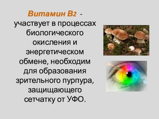 Витамин В2 - участвует в процессах биологического окисления и энергетическом обмене, необходим