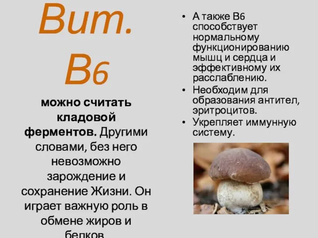 Вит.В6 можно считать кладовой ферментов. Другими словами, без него невозможно зарождение и