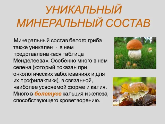 УНИКАЛЬНЫЙ МИНЕРАЛЬНЫЙ СОСТАВ Минеральный состав белого гриба также уникален - в нем