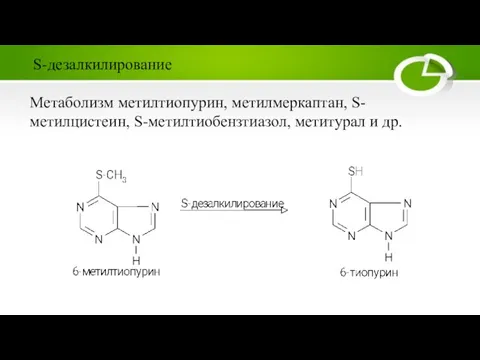 Метаболизм метилтиопурин, метилмеркаптан, S-метилцистеин, S-метилтиобензтиазол, метитурал и др. S-дезалкилирование
