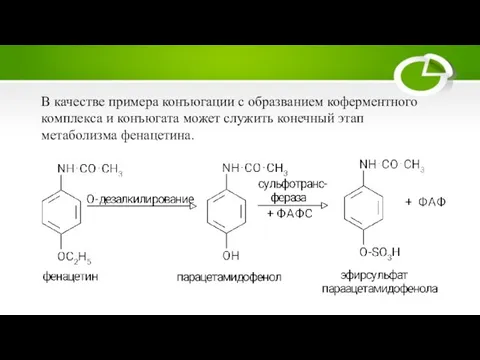 В качестве примера конъюгации с образванием коферментного комплекса и конъюгата может служить конечный этап метаболизма фенацетина.