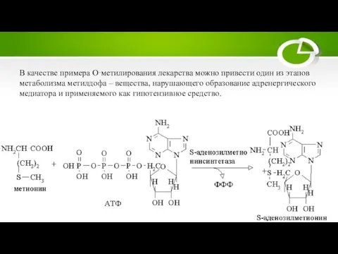 В качестве примера О‑метилирования лекарства можно привести один из этапов метаболизма метилдофа