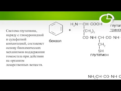 Система глутатиона, наряду с глюкуронидной и сульфатной конъюгацией, составляет основу биохимических механизмов