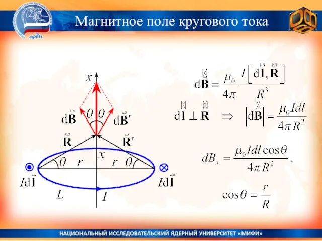 Магнитное поле кругового тока