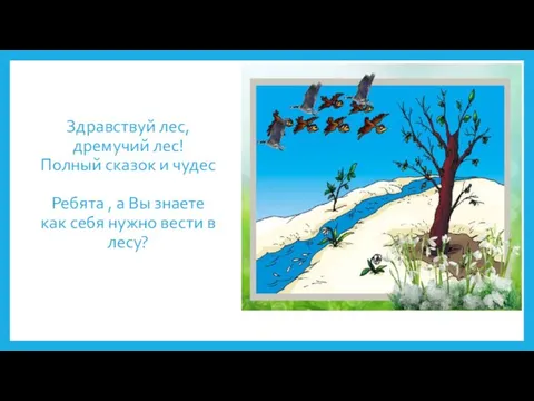 Здравствуй лес, дремучий лес! Полный сказок и чудес Ребята , а Вы