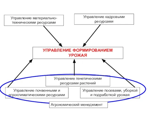 УПРАВЛЕНИЕ ФОРМИРОВАНИЕМ УРОЖАЯ Управление материально-техническими ресурсами Управление кадровыми ресурсами Управление почвенными и