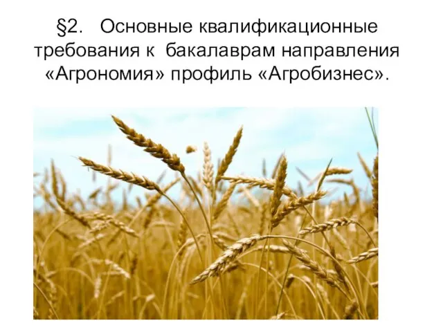 §2. Основные квалификационные требования к бакалаврам направления «Агрономия» профиль «Агробизнес».