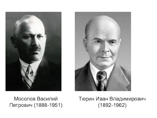 Мосолов Василий Петрович (1888-1951) Тюрин Иван Владимирович (1892-1962)