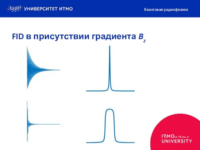 Квантовая радиофизика FID в присутствии градиента Bz