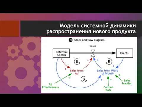 Модель системной динамики распространения нового продукта