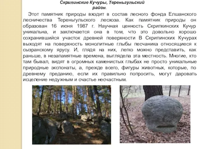Этот памятник природы входит в состав лесного фонда Елшанского лесничества Тереньгульского лесхоза.