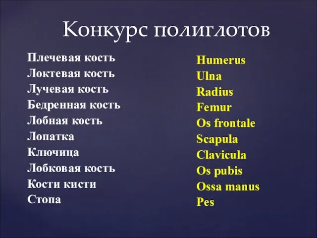 Конкурс полиглотов Плечевая кость Локтевая кость Лучевая кость Бедренная кость Лобная кость