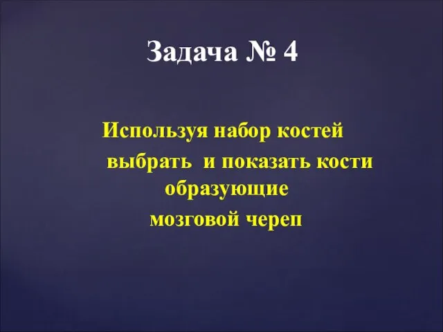 Используя набор костей выбрать и показать кости образующие мозговой череп Задача № 4