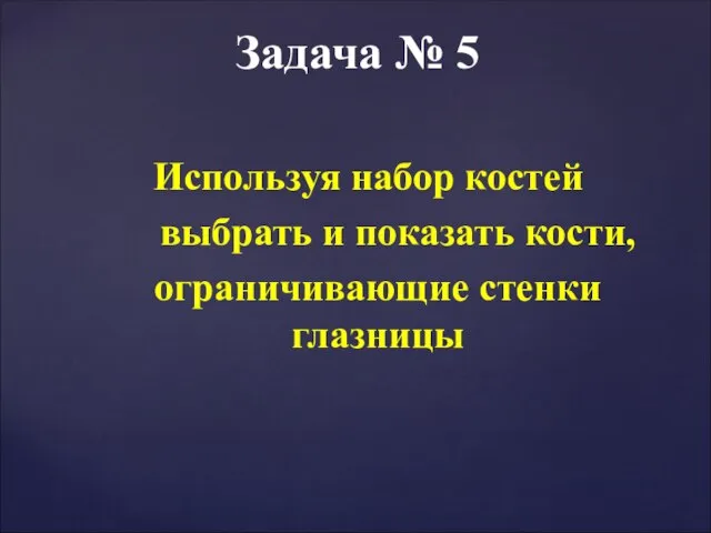 Используя набор костей выбрать и показать кости, ограничивающие стенки глазницы Задача № 5