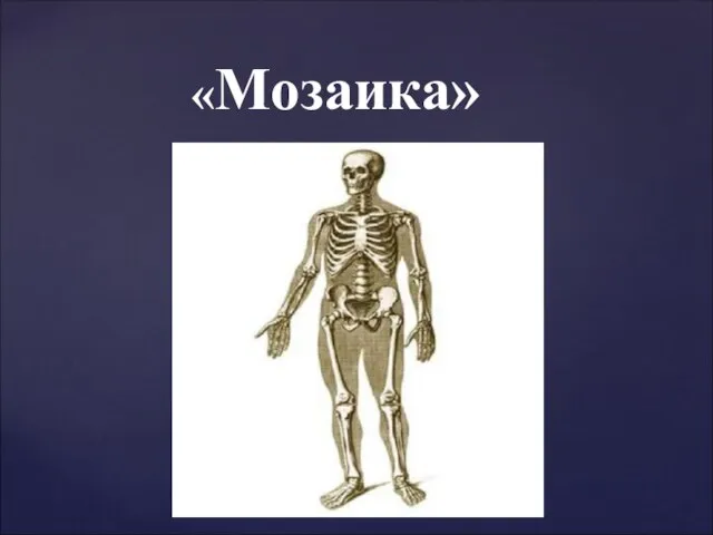 «Мозаика»