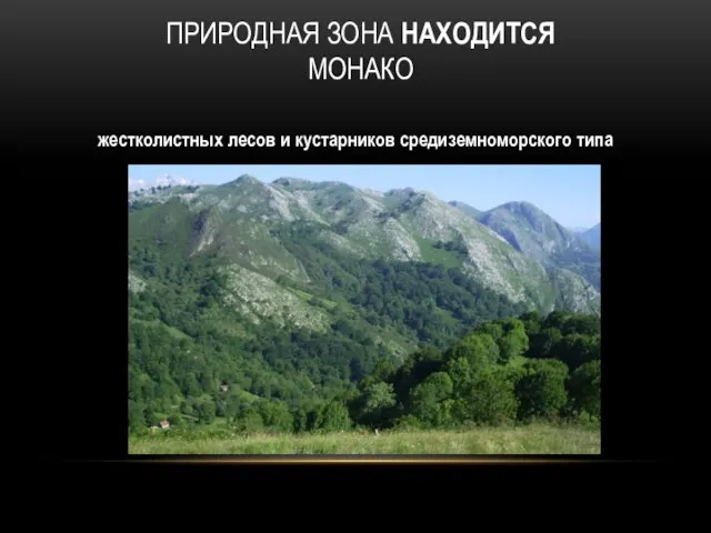 ПРИРОДНАЯ ЗОНА НАХОДИТСЯ МОНАКО жестколистных лесов и кустарников средиземноморского типа