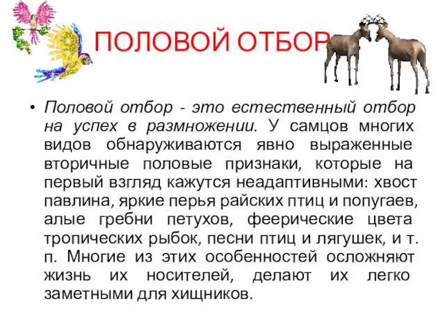 ПОЛОВОЙ ОТБОР Половой отбор - это естественный отбор на успех в размножении.