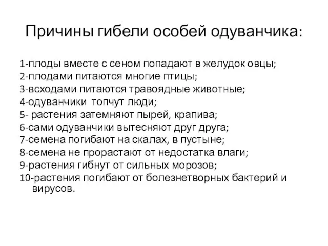 Причины гибели особей одуванчика: 1-плоды вместе с сеном попадают в желудок овцы;