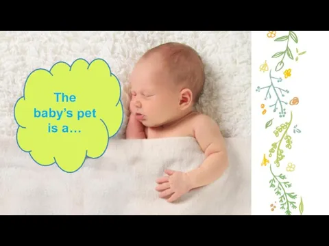 The baby’s pet is a…