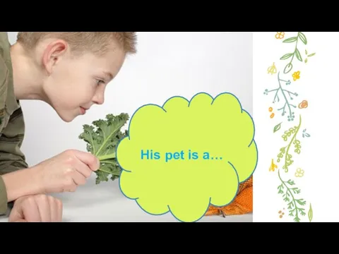 His pet is a…