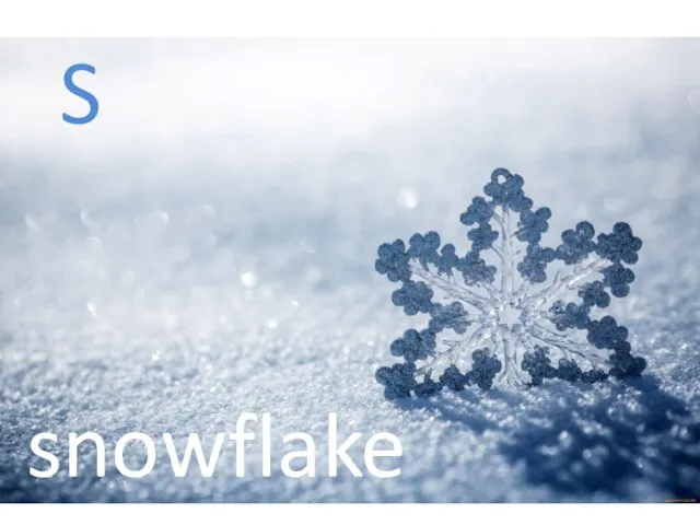 S snowflake