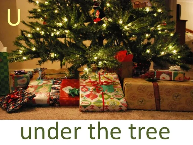 U under the tree