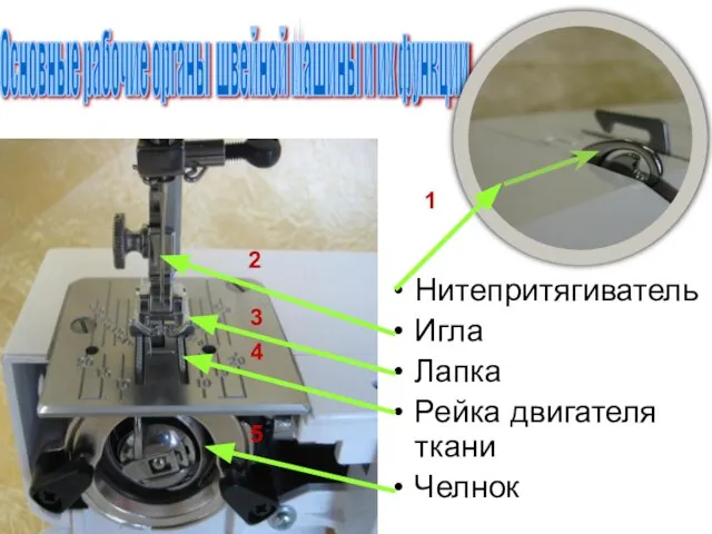 Основные рабочие органы швейной машины и их функции Нитепритягиватель Игла Лапка Рейка