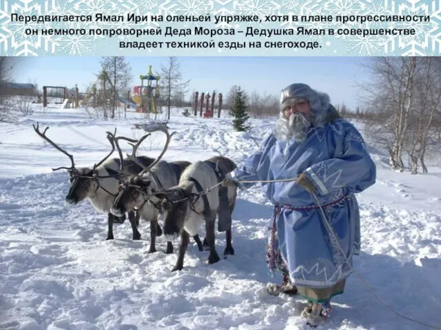 Передвигается Ямал Ири на оленьей упряжке, хотя в плане прогрессивности он немного