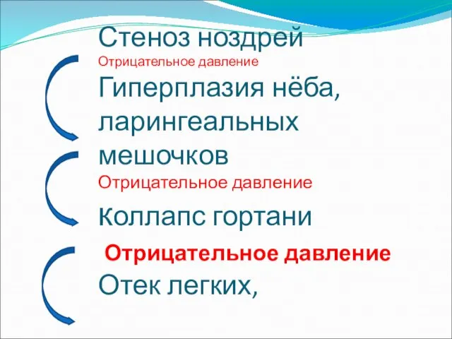 Стеноз ноздрей Отрицательное давление Гиперплазия нёба, ларингеальных мешочков Отрицательное давление коллапс гортани Отрицательное давление Отек легких,