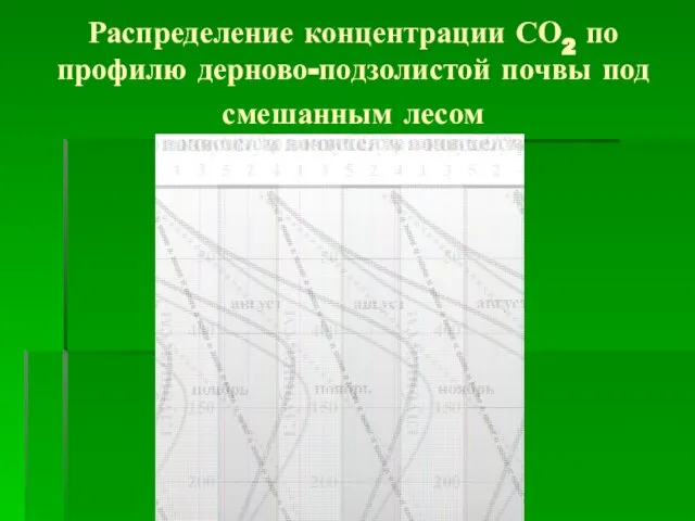 Распределение концентрации СО2 по профилю дерново-подзолистой почвы под смешанным лесом