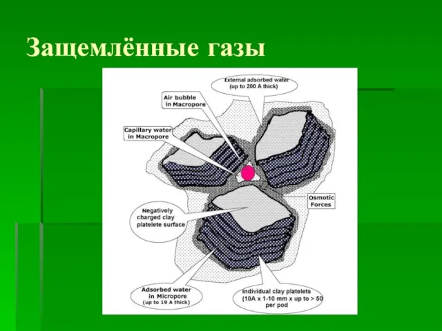 Защемлённые газы