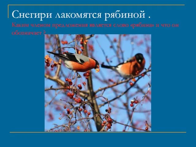 Снегири лакомятся рябиной . Каким членом предложения является слово «рябина» и что он обозначает ?