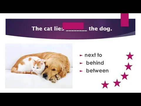 next to The cat lies ________ the dog. next to behind between