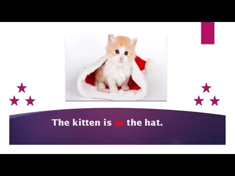 The kitten is in the hat.