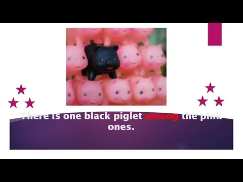 There is one black piglet among the pink ones.