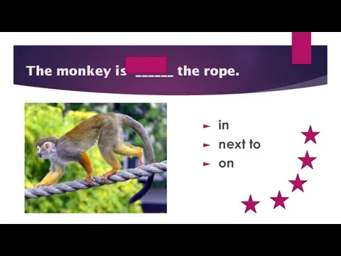 on The monkey is ______ the rope. in next to on