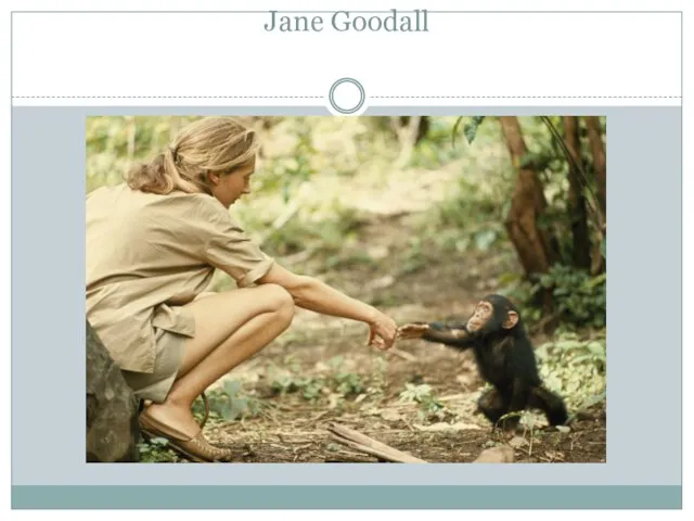 Jane Goodall