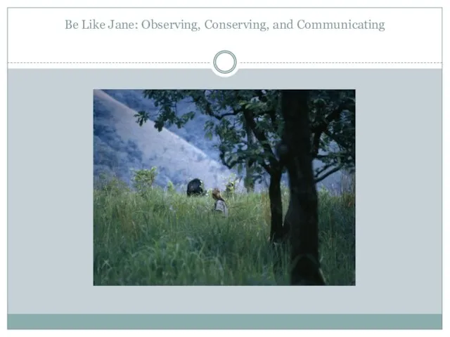 Be Like Jane: Observing, Conserving, and Communicating