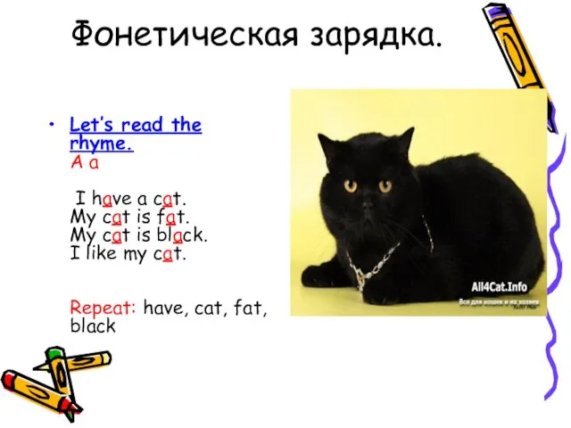 Фонетическая зарядка. Let’s read the rhyme. A a I have a cat.