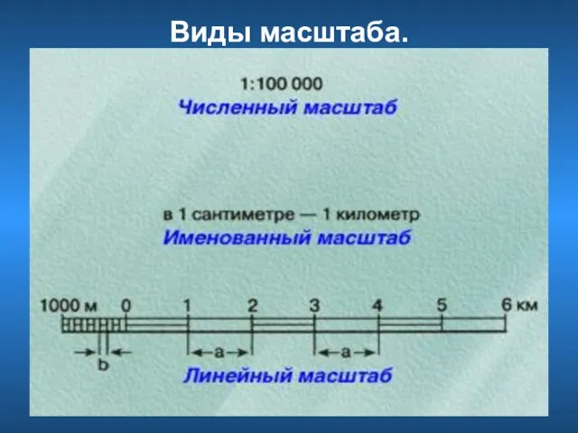 Виды масштаба.